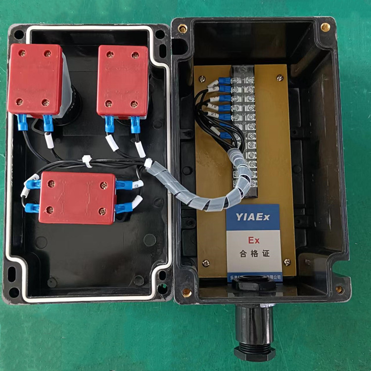 防爆防腐控制箱接線.jpg